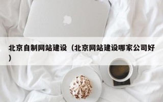 衡东北京自制网站建设（北京网站建设哪家公司好）