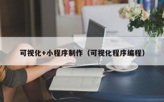 衡东可视化+小程序制作（可视化程序编程）